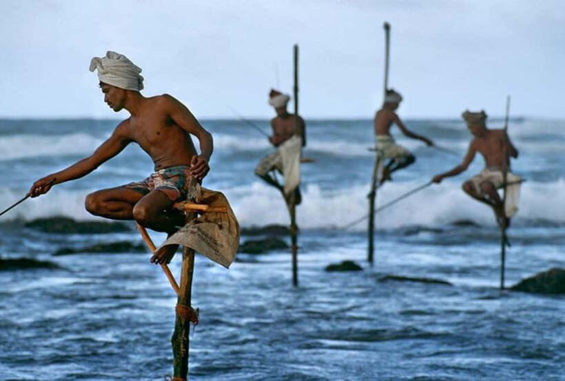 Galle Day Trip - River Safari, Sea Turtle & Stilt Fishermen - Is This Tour Worth the Price?