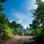 Galle: E-Bike Tour with Village Lunch and Local Guide - Why This Tour Offers Great Value