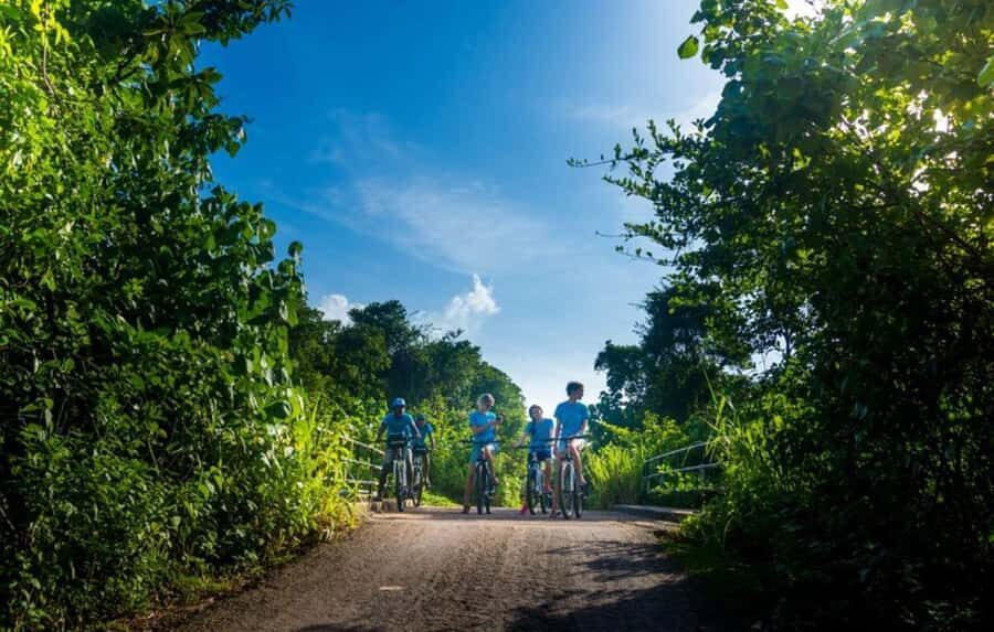 Galle: E-Bike Tour with Village Lunch and Local Guide - Why This Tour Offers Great Value