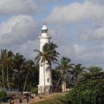 Galle Fort Walk with Elephant Painting & Local Ice cream - More About the Experience