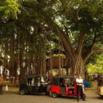 Galle: Fort Walking Tour with Local Guide + Lunch - A Deep Dive into the Galle Fort Walking Experience