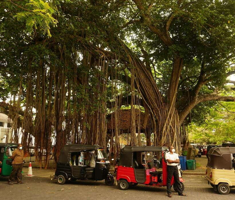 Galle: Fort Walking Tour with Local Guide + Lunch - A Deep Dive into the Galle Fort Walking Experience