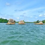 Galle: Koggala Lake Boat Safari with Monkeys Birds & Nature - What to Expect from the Koggala Lake Safari