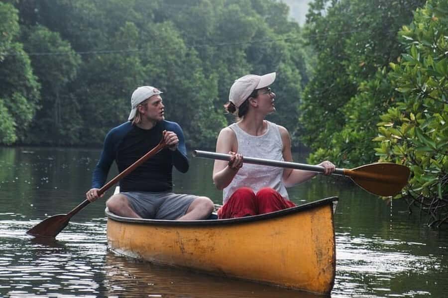 Galle: Lagoon Canoeing Tour with Hotel Pickup - Exploring the Lagoon Canoeing Experience in Detail