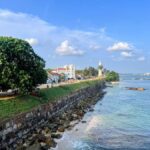 Galle Private Day Tour - River Safari, Turtle Hatchery - Overview of the Tour Experience