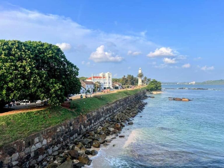 Galle Private Day Tour - River Safari, Turtle Hatchery - Overview of the Tour Experience