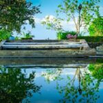 Galle: Udawalawa National Park Safari & Hot Springs Tour - An In-Depth Look at the Itinerary