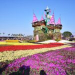 Gaomei Wetland Day Trip from Ximending - Practical Details: Transportation and Timing