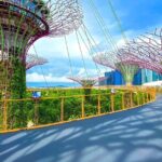 Garden by the Bay Ticket Only Optional Skypark Observation Deck - Who Will Love This Tour?