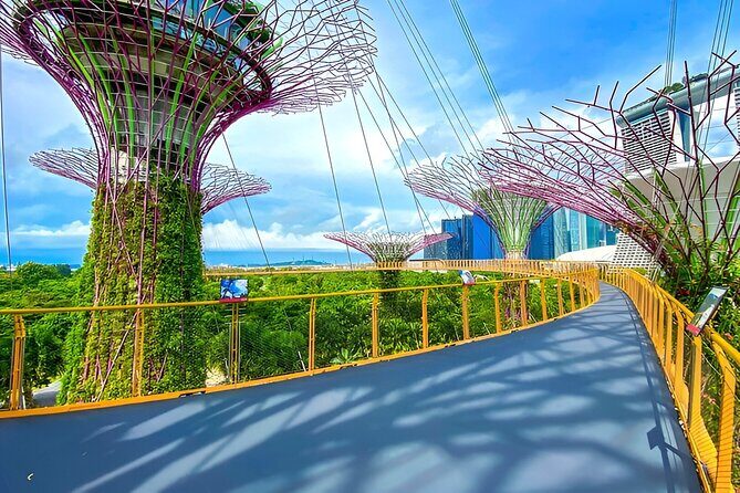 Garden by the Bay Ticket Only Optional Skypark Observation Deck - Who Will Love This Tour?