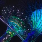 Gardens by the Bay Singapore combo - Authentic Insights from Past Visitors