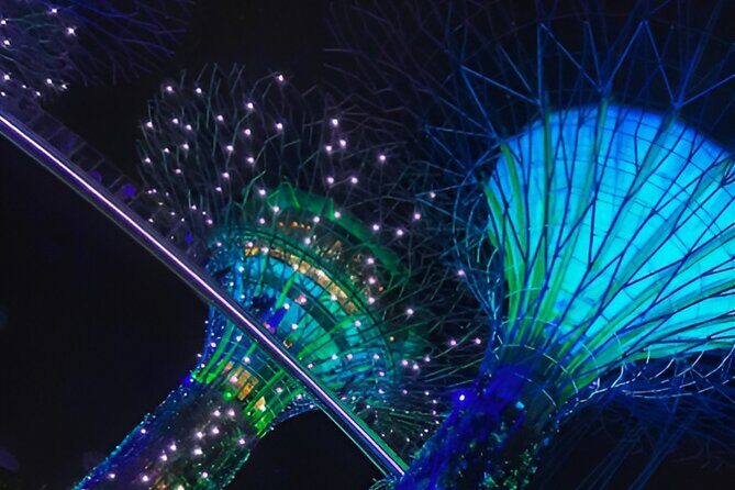 Gardens by the Bay Singapore combo - Authentic Insights from Past Visitors