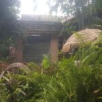 Gems of Chiangmai: Dantewada, Wat Ban den, Sticky Waterfall - Dantewada Waterfall: A Human-Made Marvel