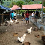 George Town, Penang: Malay Countryside Cycling - Highlights and Stops Along the Way