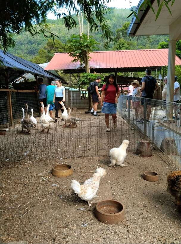 George Town, Penang: Malay Countryside Cycling - Highlights and Stops Along the Way