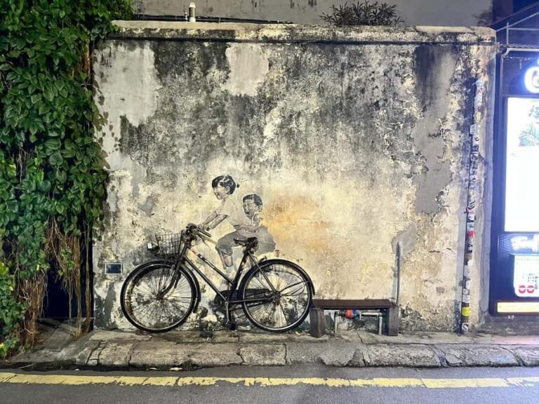 Georgetown Street Art Tour & Mix Culture Local Food Tasting - Practical Details & Tips