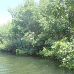 Get Anchored - Practical details: what to consider