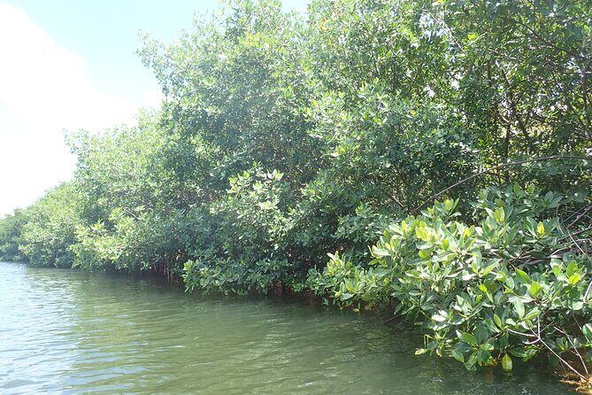 Get Anchored - Practical details: what to consider