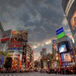 Get to know Shinjuku (nightlife optional) - Final Thoughts: Is It Worth It?