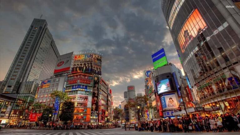 Get to know Shinjuku (nightlife optional) - Final Thoughts: Is It Worth It?