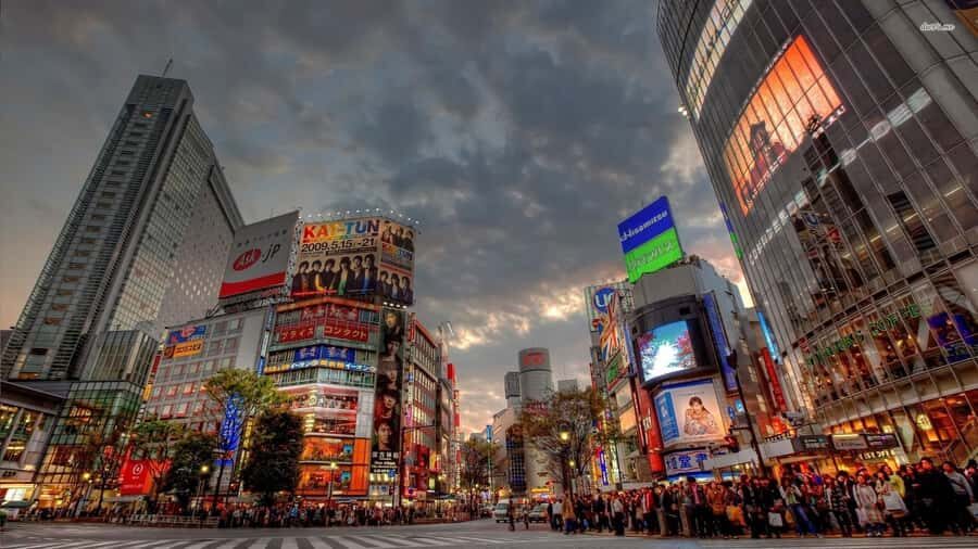 Get to know Shinjuku (nightlife optional) - Final Thoughts: Is It Worth It?