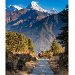 Ghorepani - Poon Hill Golden Horizon Trek from Kathmandu - Transport, Accommodation, and Group Size