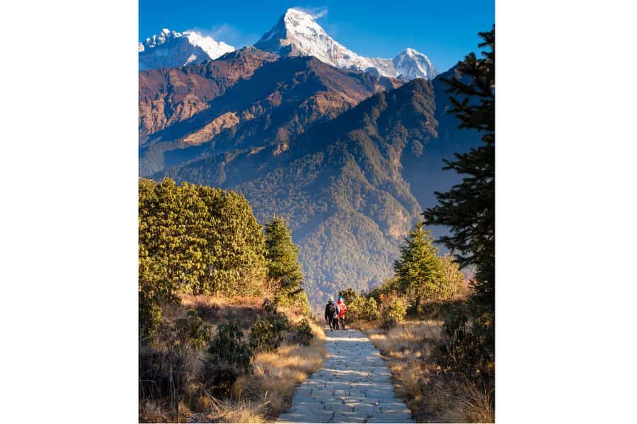 Ghorepani - Poon Hill Golden Horizon Trek from Kathmandu - Transport, Accommodation, and Group Size
