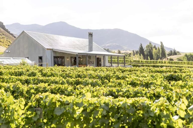 Gibbston: Mt Rosa Wine Tasting Experience - What Makes the Mt Rosa Wine Tasting Stand Out?
