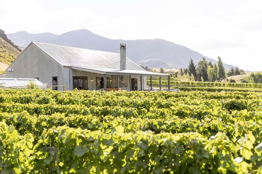 Gibbston: Mt Rosa Wine Tasting Experience - What Makes the Mt Rosa Wine Tasting Stand Out?