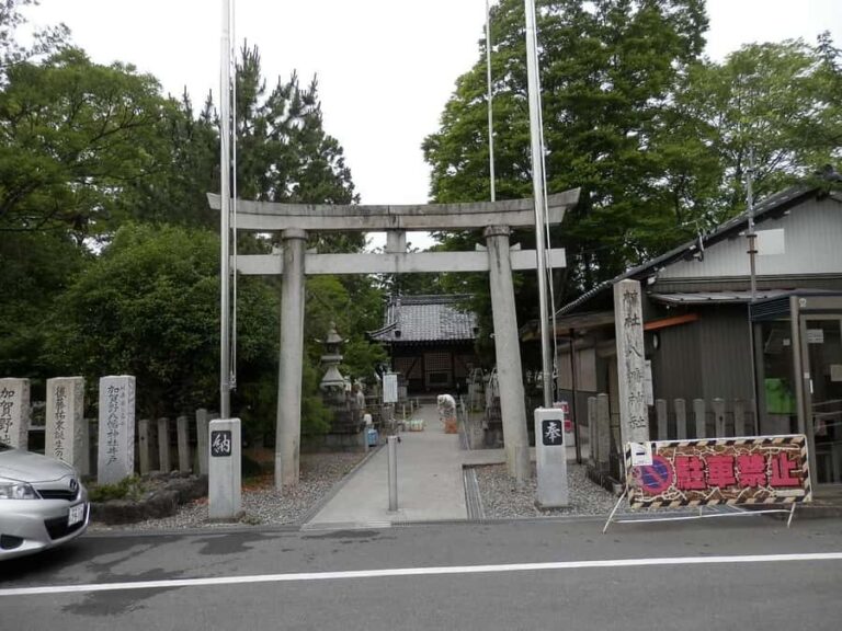 Gifu: Sekigahara and gaki Guided Tour by Train & Walk - Transportation and Group Details