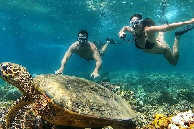 Gili Air : Private Snorkeling with 4 spots - Why Is This Tour a Great Choice?