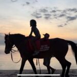 Gili Air: Private Sunrise or Sunset Horse Riding Tour - Ethical Horse Care and Small Group Limits