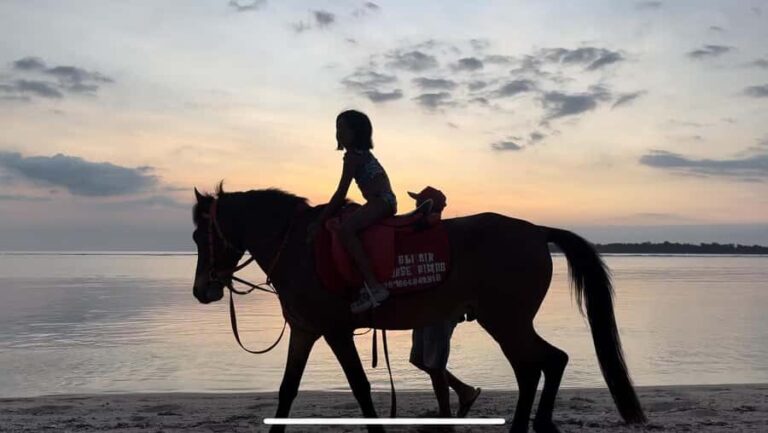 Gili Air: Private Sunrise or Sunset Horse Riding Tour - Ethical Horse Care and Small Group Limits
