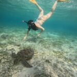 Gili Air: Sharring Snorkeling Experience by Boat - Final Thoughts