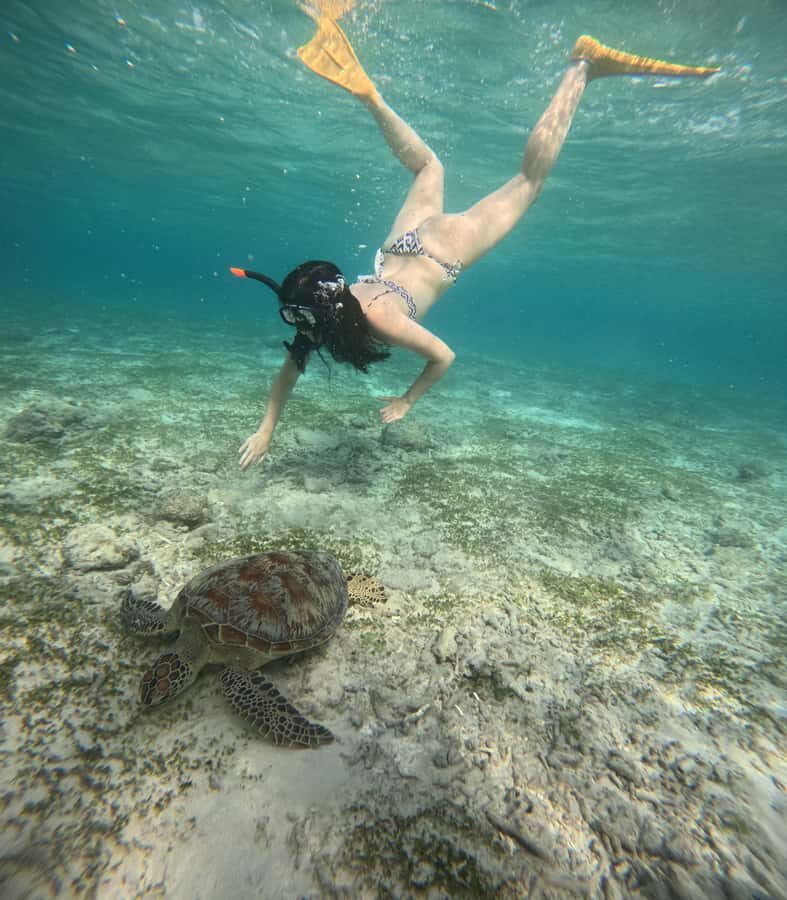 Gili Air: Sharring Snorkeling Experience by Boat - Final Thoughts