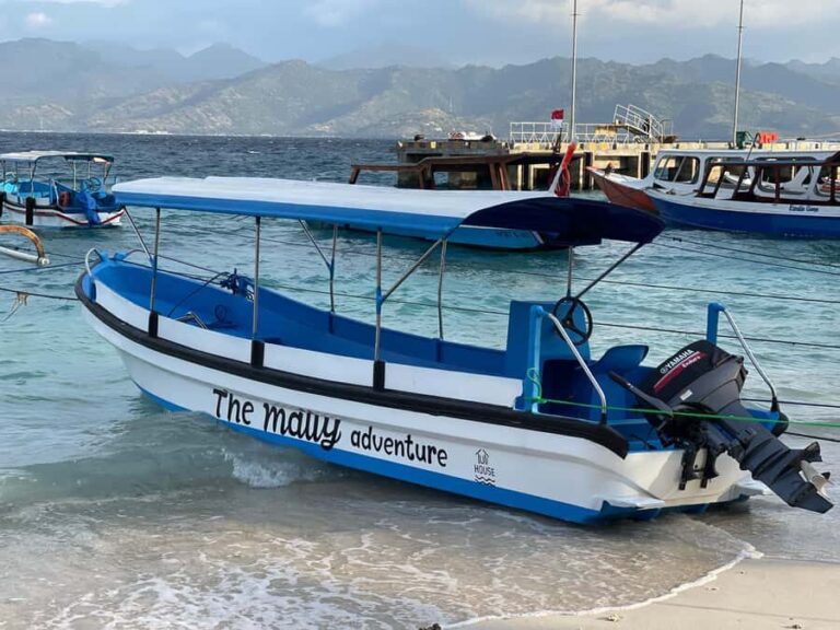Gili island Snorkelling by private glass bottom boat - What Makes This Tour Stand Out?
