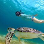 Gili Islands: Snorkeling Tour with Turtles and Statues - Discovering the Underwater World of Gili Islands