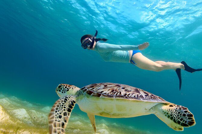 Gili Islands: Snorkeling Tour with Turtles and Statues - Discovering the Underwater World of Gili Islands