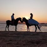 Gili Meno Horse Riding Adventure on the Beach for 1 Hour - Final Thoughts: Is It Worth It?