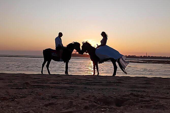 Gili Meno Horse Riding Adventure on the Beach for 1 Hour - Final Thoughts: Is It Worth It?