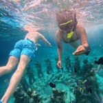 GILI T : PRIVATE SNORKELING TRIP 5 HOURS 3 GILI - The Itinerary: What to Expect on Your Private Gili Snorkeling Tour