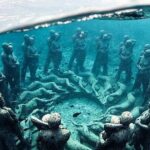 Gili Ticket Transfer and back to bali for the next day - Price & Value