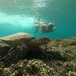 Gili Trawangan Best Snorkeling Trip With GOPRO documentation - An In-Depth Look at the Snorkeling Trip