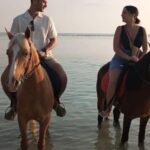 Gili Trawangan: Horse Riding on the Beach - The Itinerary in Detail