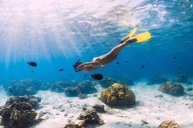 Gili Trawangan : Private Snorkeling with 3 spots or 4 spots - FAQs