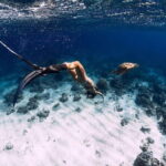 Gili Trawangan Snorkeling with Turtles & Underwater Statue - What Travelers Are Saying