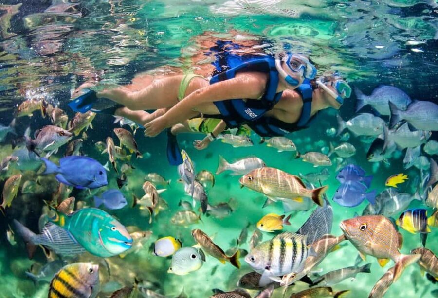 Glass Boat Adventure In Punta Cana - The Itinerary: What to Expect