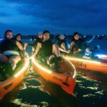 Glow Kayak Night Adventure in the Mangroves - Who Would Love This Tour?