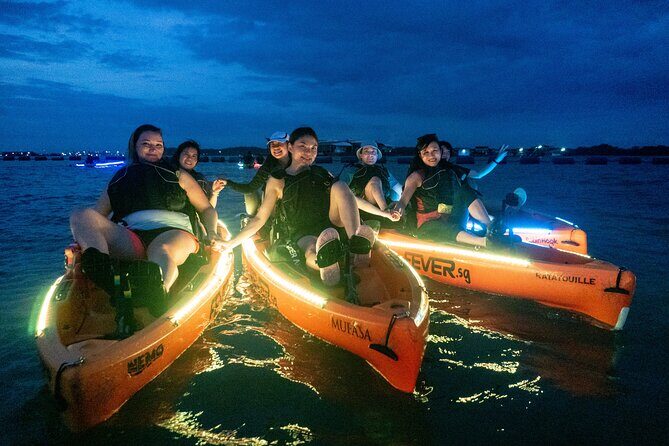 Glow Kayak Night Adventure in the Mangroves - Who Would Love This Tour?