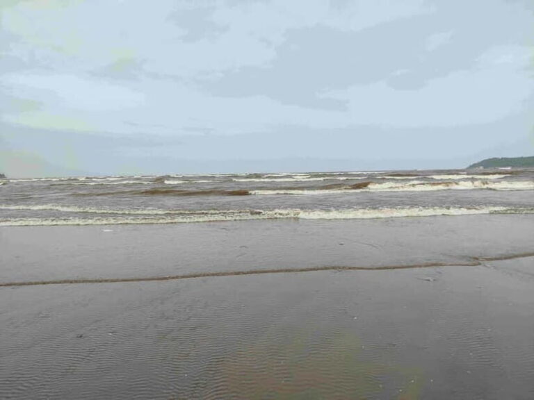 Goa: SIC South Goa Sightseeing Tour - Exploring the Itinerary: What Makes Each Stop Special